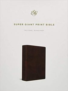 ESV Bibles for the Visually Impaired