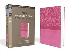 NIV Bibles for the Visually Impaired