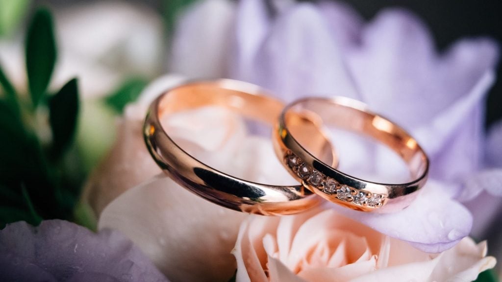 2 gold wedding bands laying on a bed of pink roses