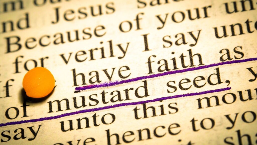 page in the bible that talks about mustard seed faith