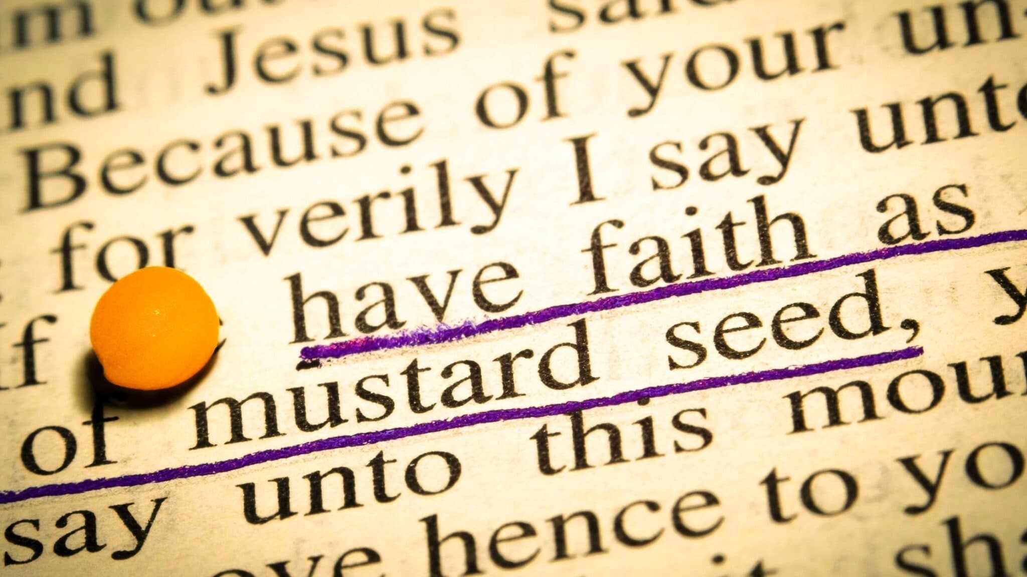 what-is-the-meaning-of-the-parable-of-the-mustard-seed-kingdom-bloggers