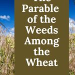 The Parable of the Weeds Among the Wheat written over a background of a field of wheat