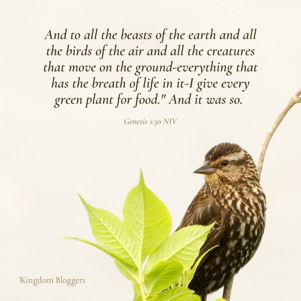 16-bible-verses-about-birds-kingdom-bloggers