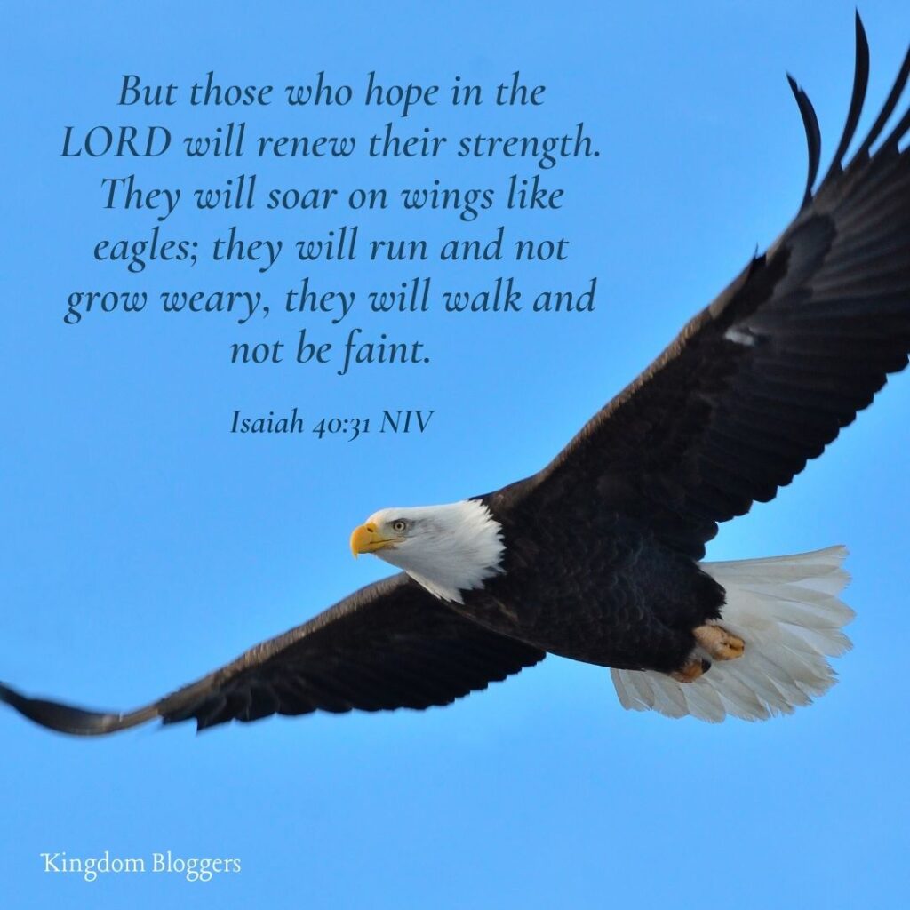 Bible Verse about Birds Isaiah 40 31