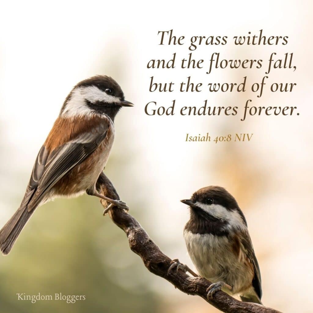 Bible Verse about Birds Isaiah 40 8