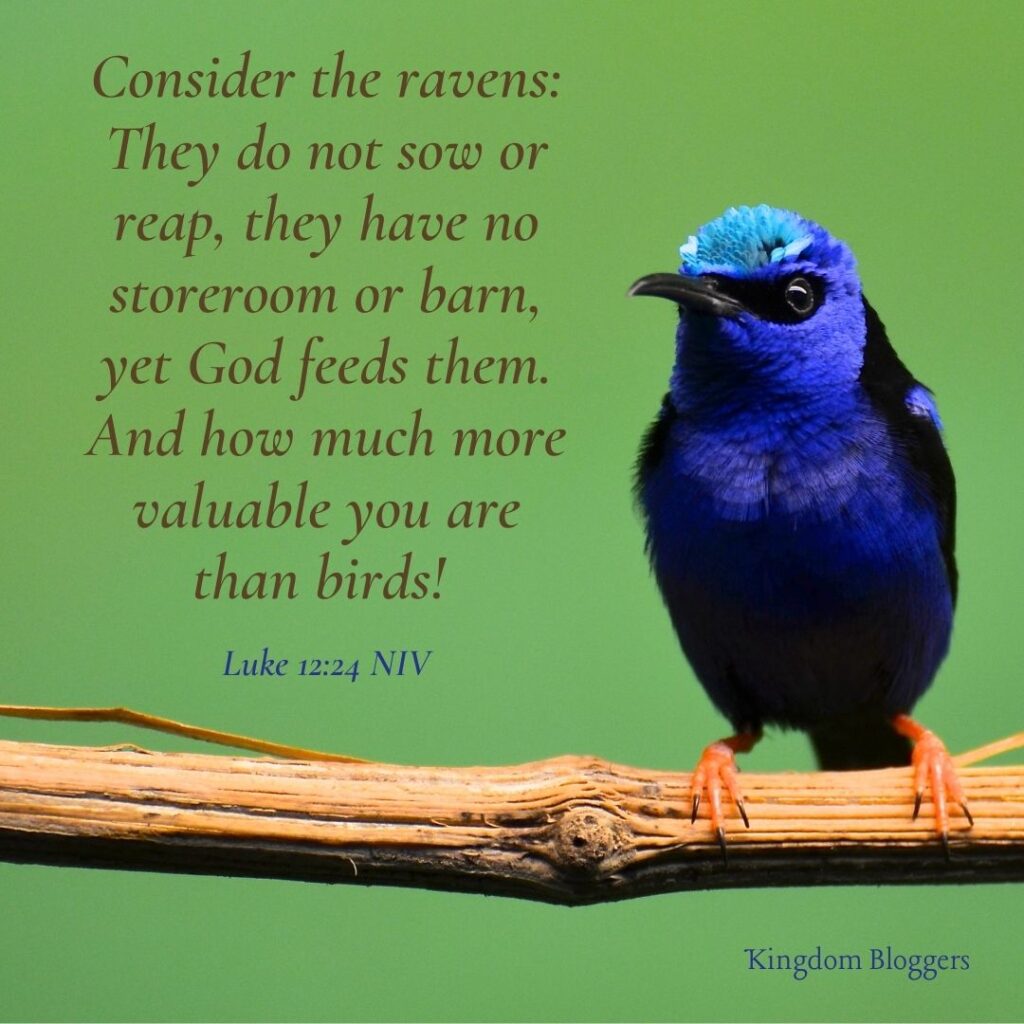 Bible Verses About Humming Birds - CHURCHGISTS.COM