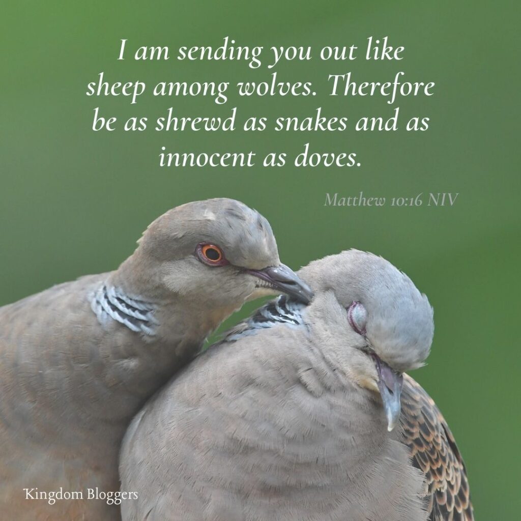 Bible Verse about Birds Matthew 10 16