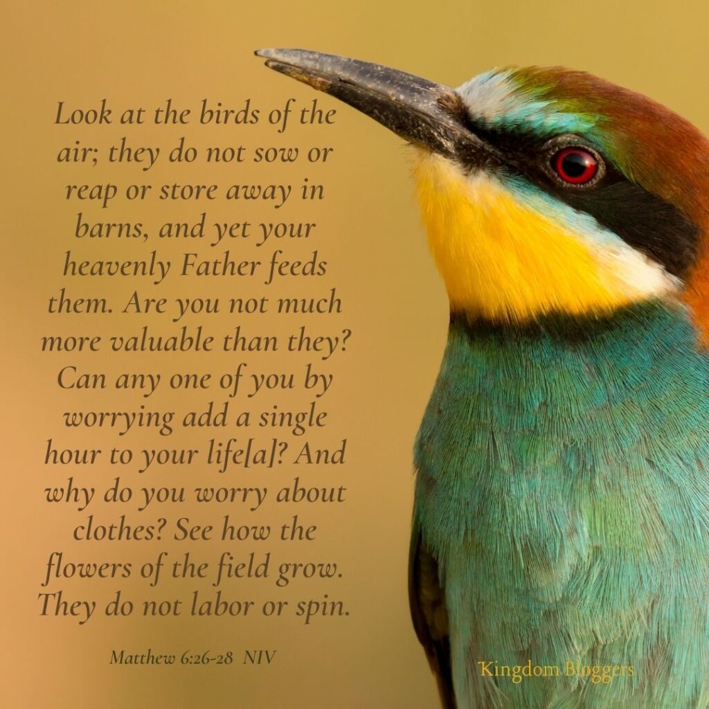 Bible Verse about Birds Matthew 6 26-28