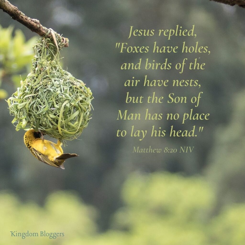 Bible Verse about Birds Matthew 8 20