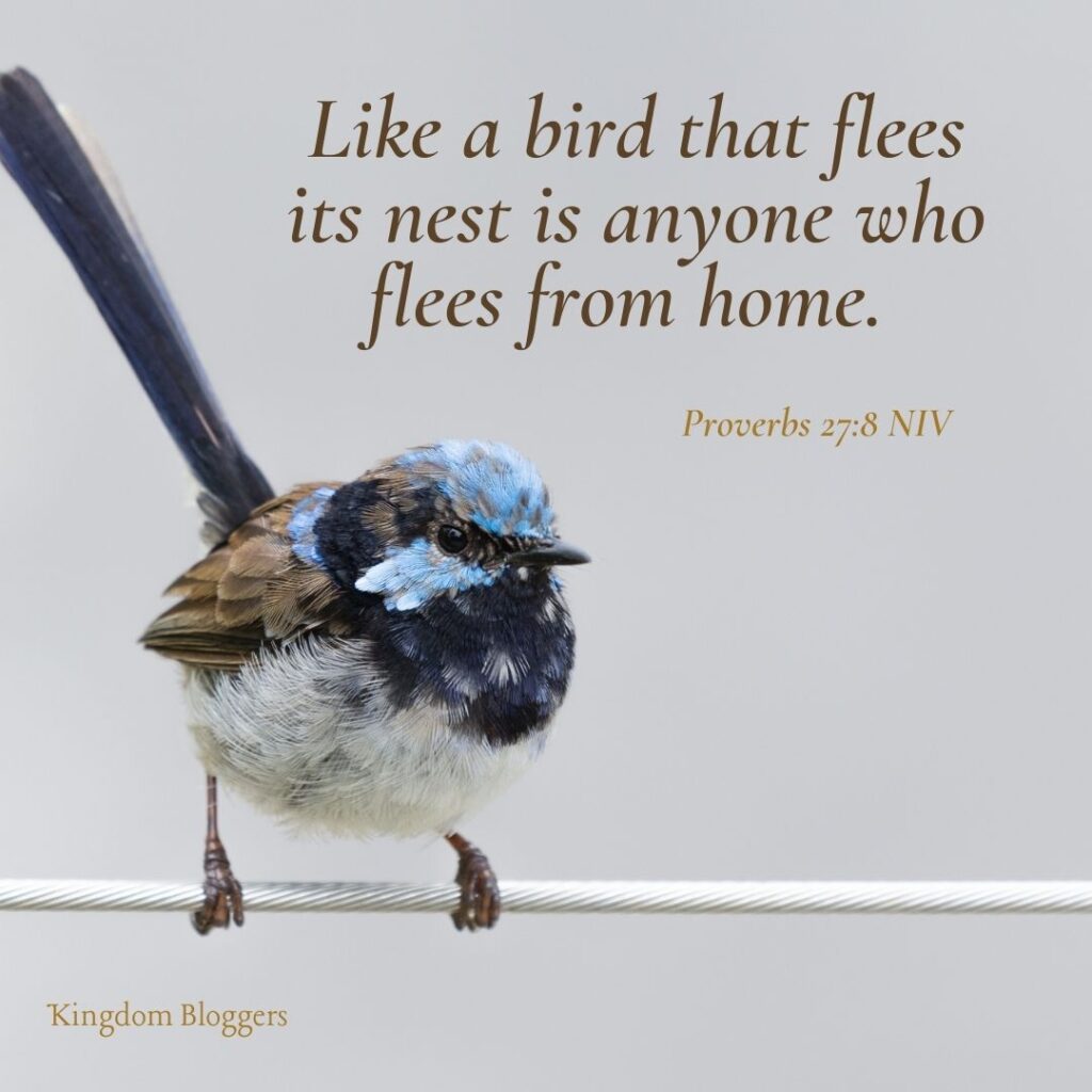 Bible Verse about Birds Proverbs 27 8