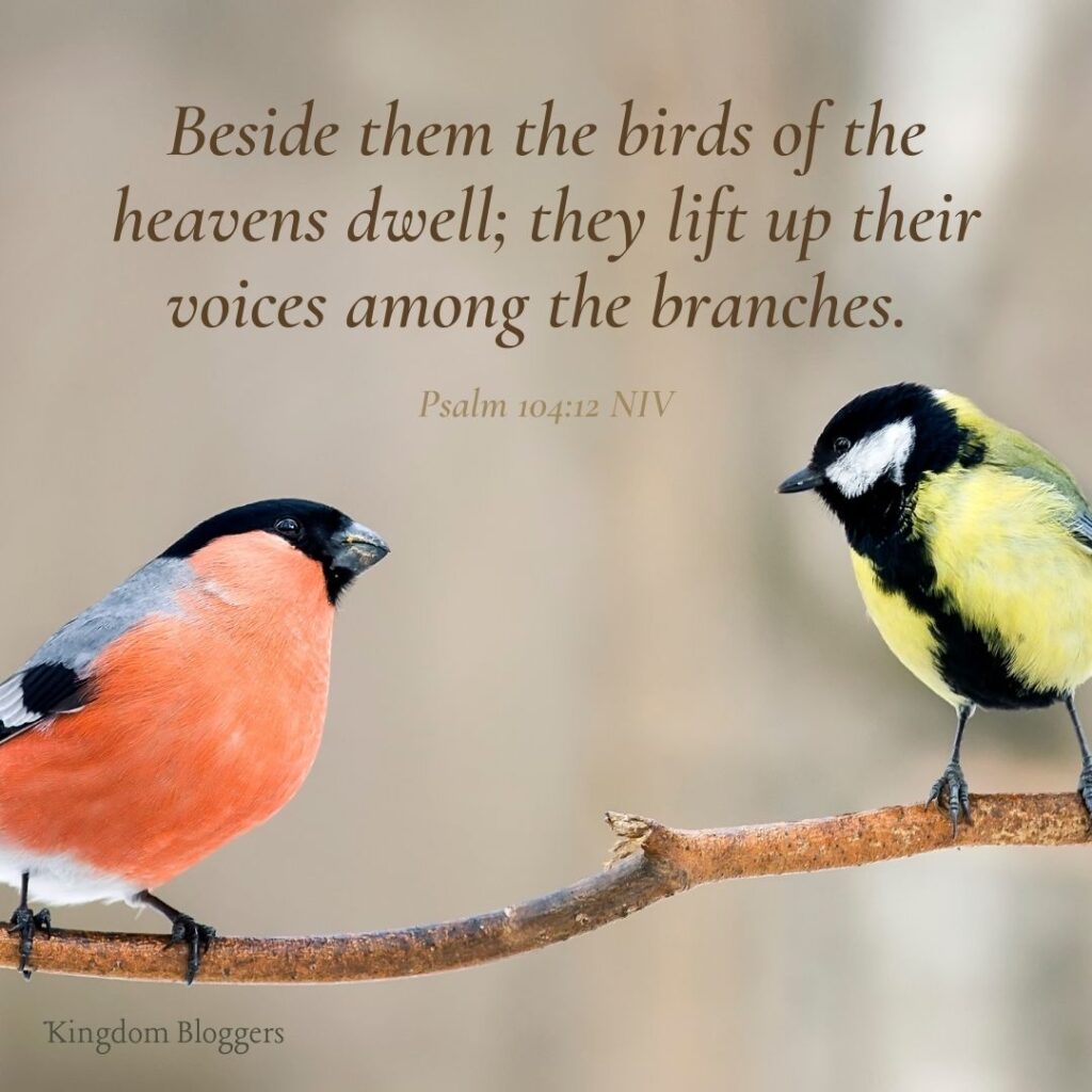 Bible Verse about Birds Psalm 104 12