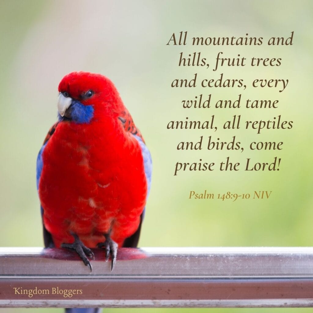 Bible Verse about Birds Psalm 14 8-9