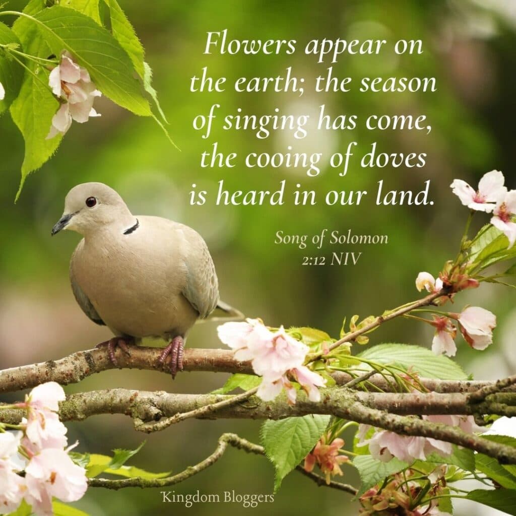 16-bible-verses-about-birds-kingdom-bloggers