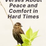 brown bird sitting on a branch with a text overlay that says 20 Bible verses about peace and comfort in hard times