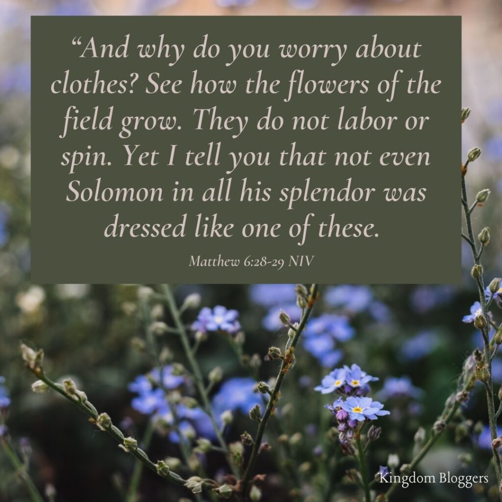  bible verses about flowers Matthew 6 28-29 on a floral background