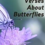 7 Bible Verses About Butterflies written on a background with a purple butterfly and flower