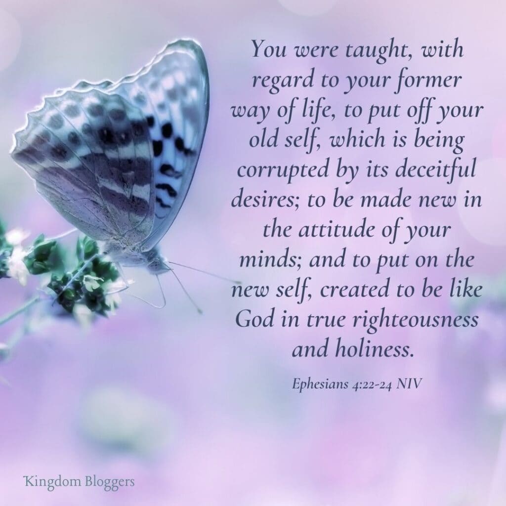 Bible Verse About Butterflies Ephesians 4 22-24