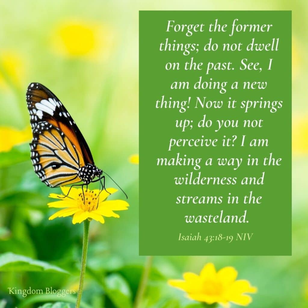 Bible Verse About Butterflies Isaiah 43 18-19