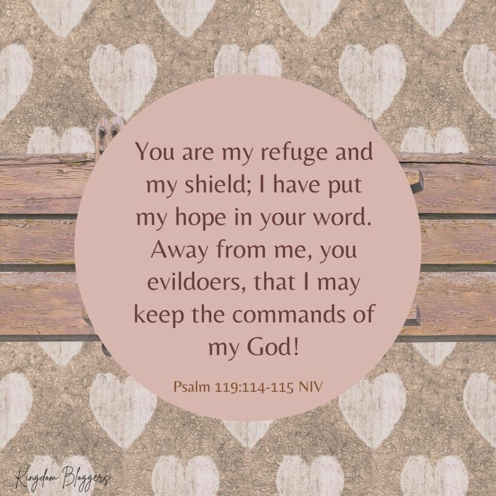 Christian Encouragement Verse Psalm 119 114-115